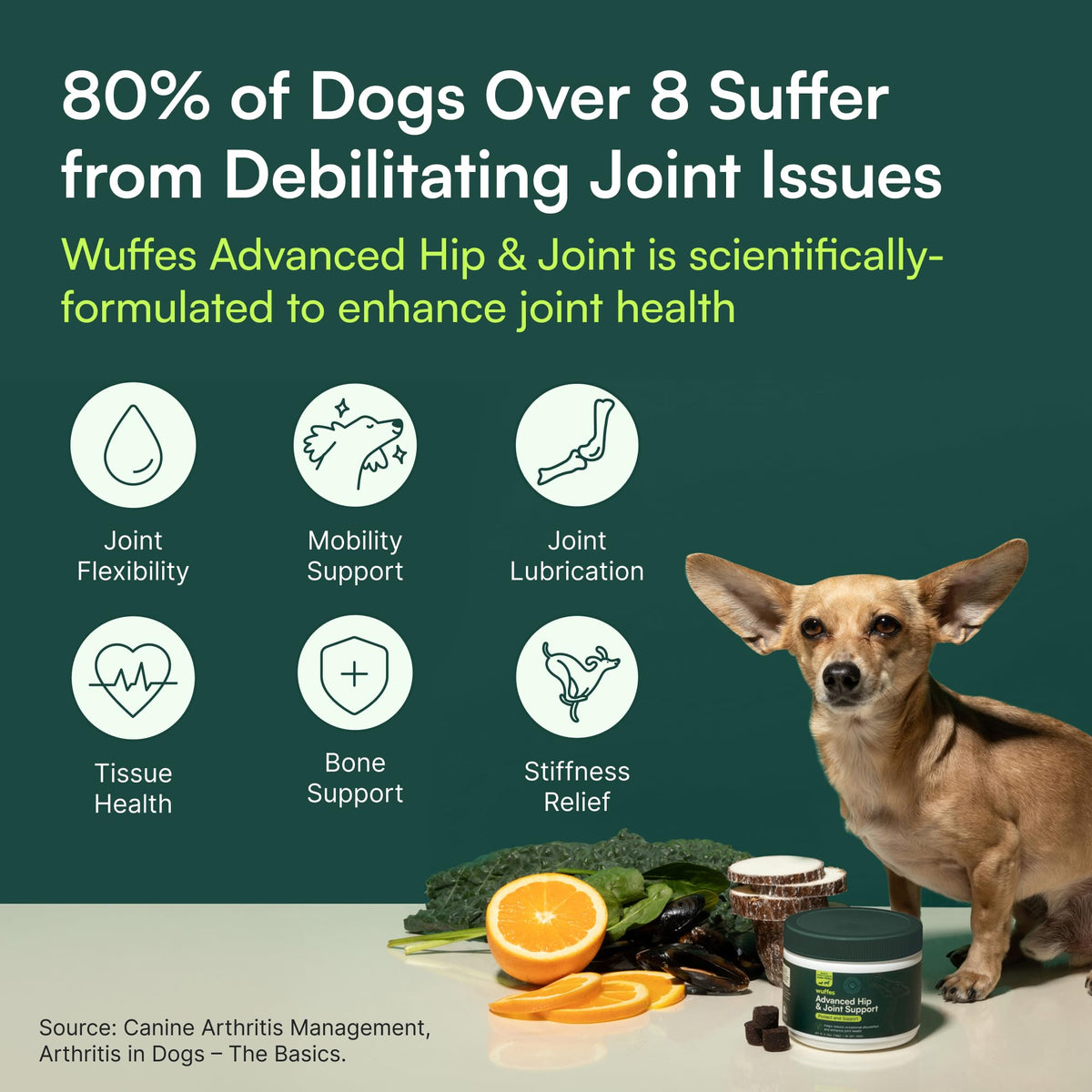 Wuffes Advanced Dog Hip and Joint Supplement with Glucosamine, Chondroitin, Omega 3, MSM, and Green Lipped Mussel, 60 Pork Flavored Chews for Small and Medium Dog Breeds - Maple Wellness Supplements