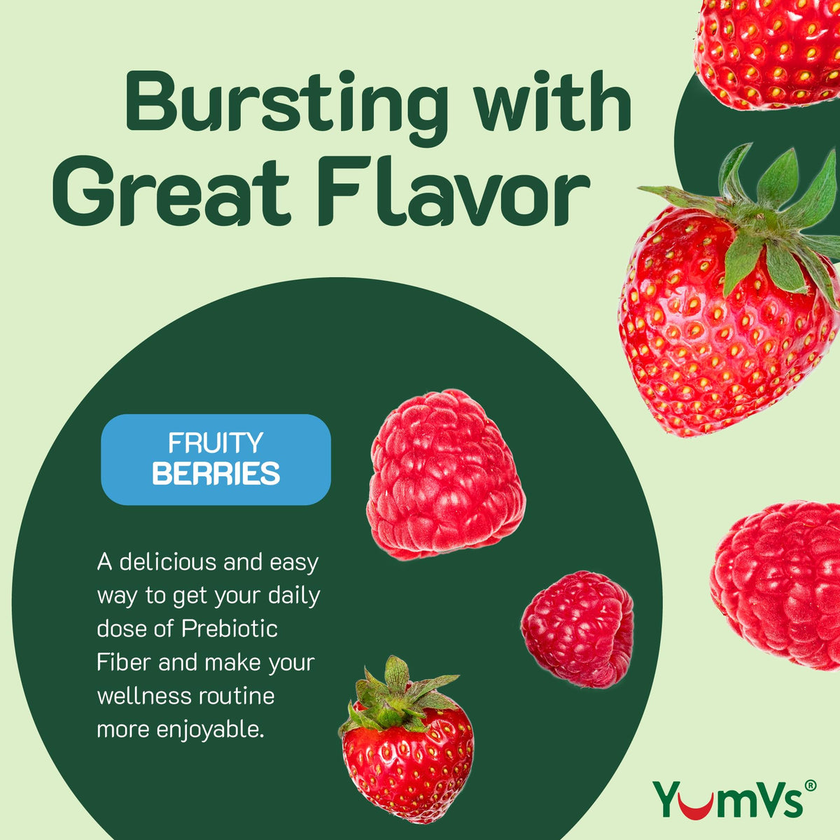 YumVs Sugar Free Prebiotic Fiber Gummies for Adults and Kids - Berry Flavor - Kosher Halal 4g High Fiber Supplement for Women and Men - Maple Wellness Supplements